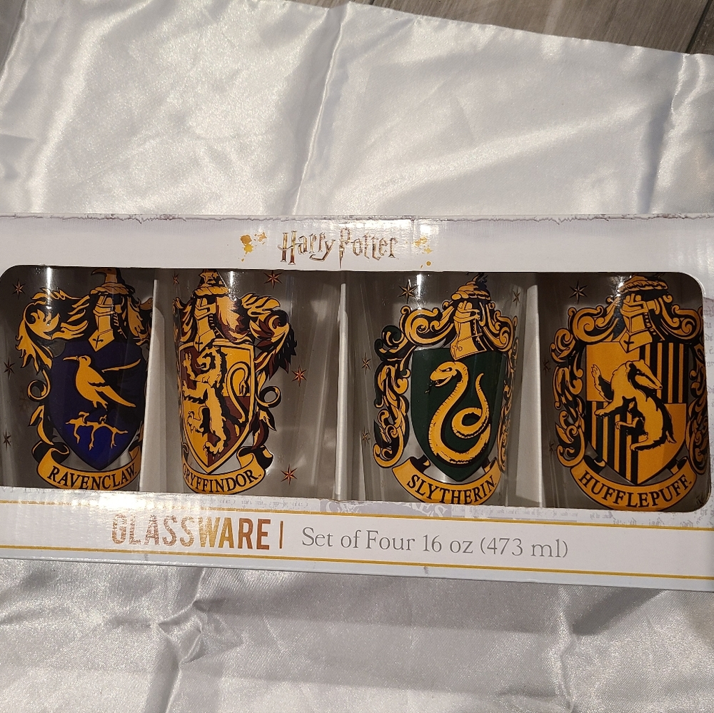 Harry Potter Glasses (4)